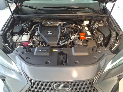 2024 Lexus NX NX 350 AWD