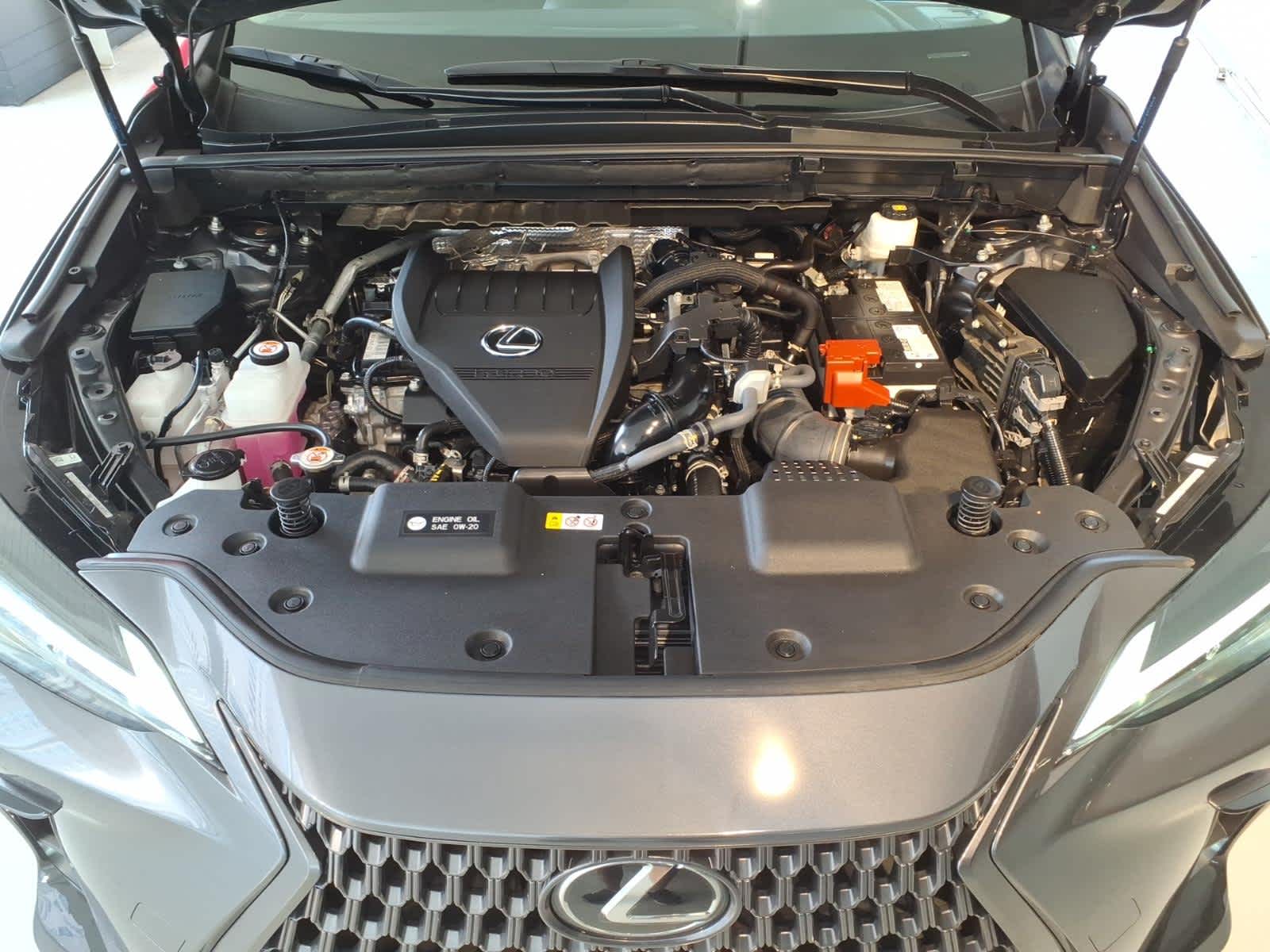 2024 Lexus NX NX 350 AWD